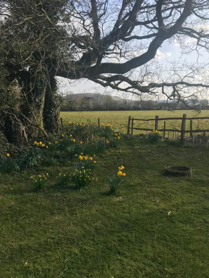 The Old Flower Field Hurstpierpoint Eksteriør billede